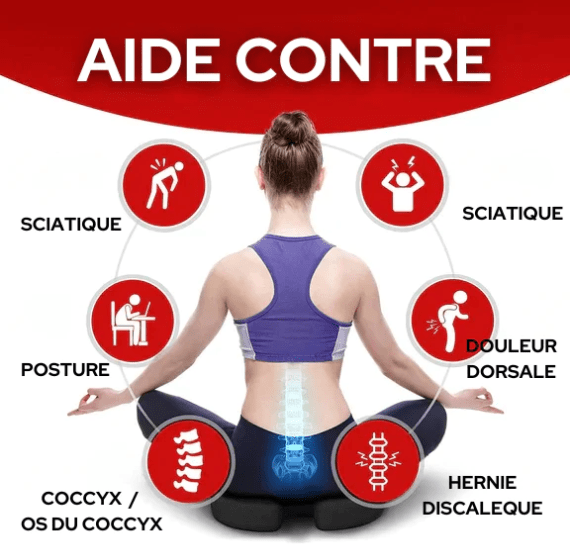 Rester assis longtemps sans douleur - Coussin Orthopédique - ZINAMI.SHOP