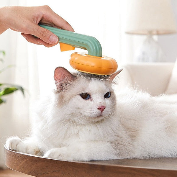 Brosses De Toilettage Pour Chats - ZINAMI.SHOP